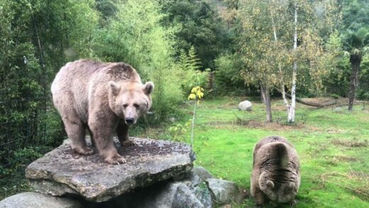 OURS