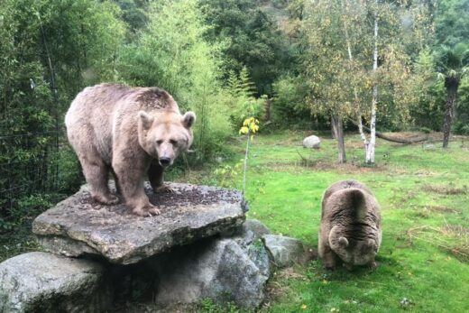OURS